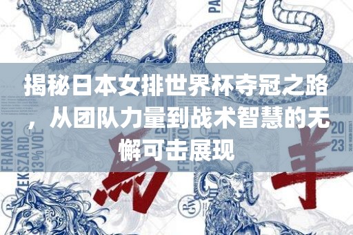 揭秘日本女排世界杯夺冠之路,从团队力量到战术智慧的无懈可击展现黄冈市中杰窑炉设备有限公司