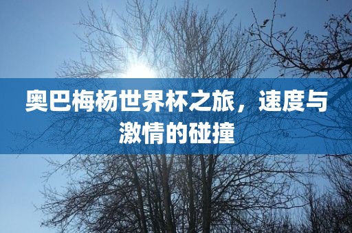 奥巴梅杨世界杯之旅,速度与激情的碰撞