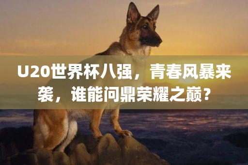 U20世界杯八强,青春风暴来袭,谁能问鼎荣耀之巅?