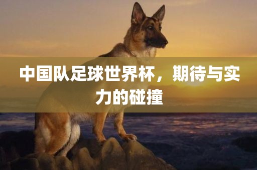 中国队足球世界杯,期待与实力的碰撞黄冈市中杰窑炉设备有限公司