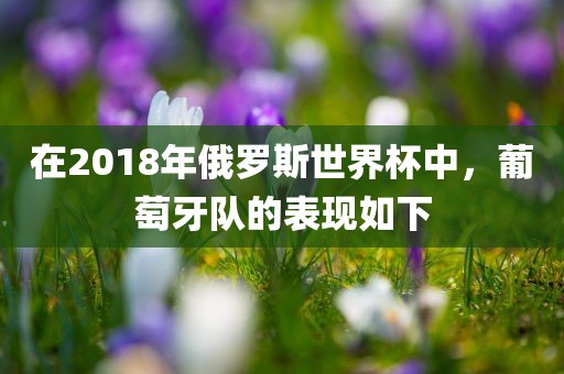 在2018年俄罗斯世界杯中，葡萄牙队的表现如下黄冈市中杰窑炉设备有限公司