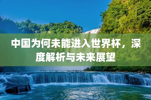 中国为何未能进入世界杯,深度解析与未来展望