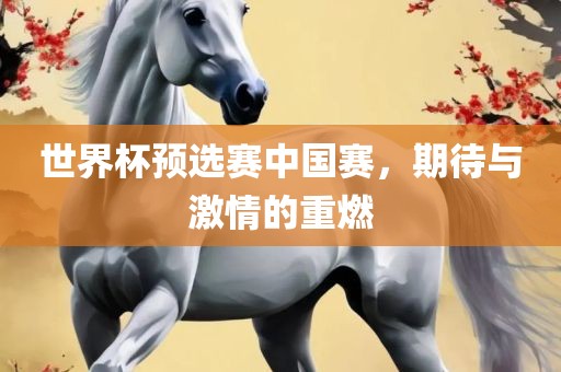 世界杯预选赛中国赛，期待与激情的重燃黄冈市中杰窑炉设备有限公司