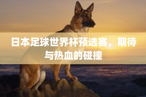日本足球世界杯预选赛，期待与热血的碰撞黄冈市中杰窑炉设备有限公司