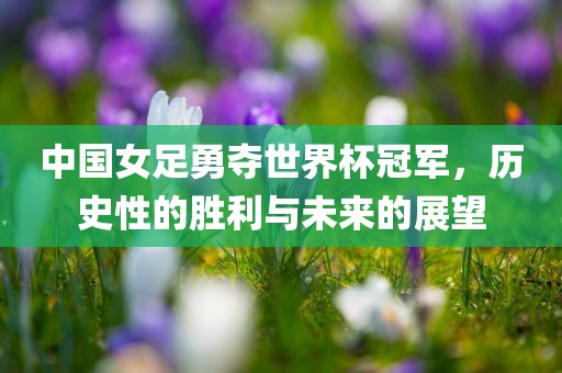 中国女足勇夺世界杯黄冈市中杰窑炉设备有限公司冠军,历史性的胜利与未来的展望