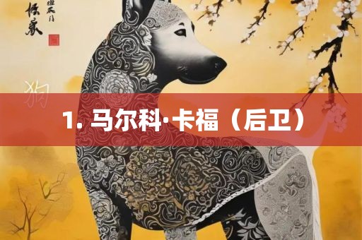 1. 马尔科·卡福（后卫）黄冈市中杰窑炉设备有限公司