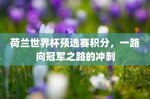 荷兰世界杯预选赛积分，一路向冠军之路的冲刺黄冈市中杰窑炉设备有限公司