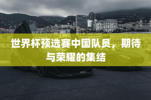 世界杯预选赛中国队员，期待与荣耀的黄冈市中杰窑炉设备有限公司集结