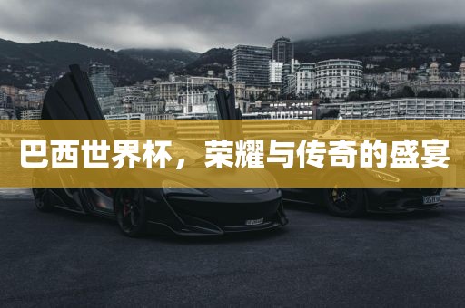 巴西世界杯 第17页