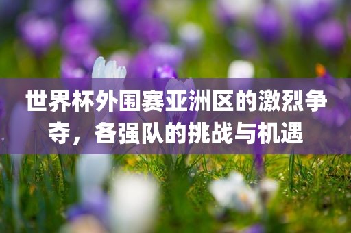 世界杯外围赛亚洲区的激烈争夺,各强队的挑战与机遇黄冈市中杰窑炉设备有限公司