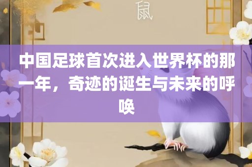中国足球首次进入世界杯的那一年,奇迹的诞生与未来的呼唤黄冈市中杰窑炉设备有限公司