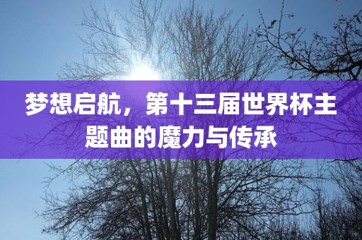 梦想启航,第十三届世界杯主题曲的魔力与传承黄冈市中杰窑炉设备有限公司