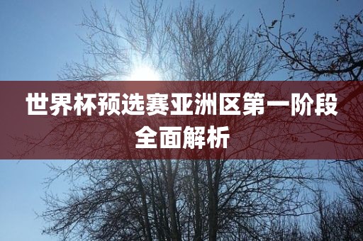 世界杯预选赛亚洲区第一阶段全面解析