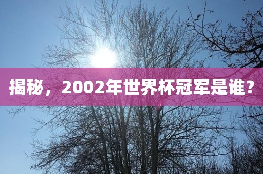 揭秘,2002年世界杯冠军是谁?黄冈市中杰窑炉设备有限公司