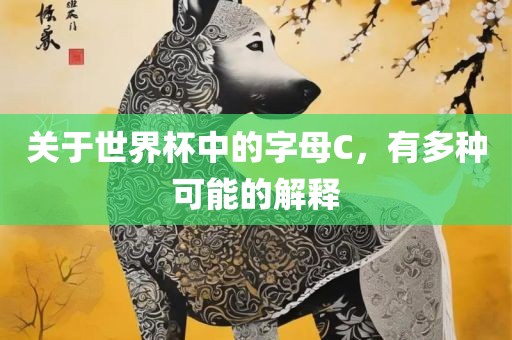 关于世界杯中的字母C,有多种可能的解释黄冈市中杰窑炉设备有限公司
