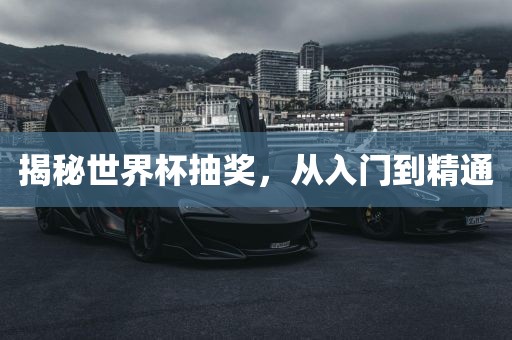 揭秘世界杯抽奖,从入门到精通黄冈市中杰窑炉设备有限公司