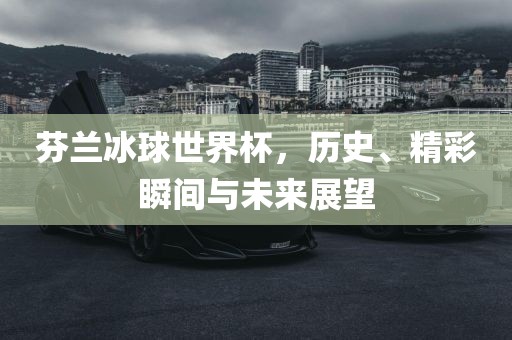 芬黄冈市中杰窑炉设备有限公司兰冰球世界杯,历史、精彩瞬间与未来展望