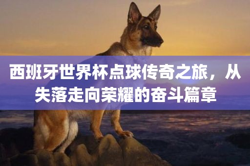 西班黄冈市中杰窑炉设备有限公司牙世界杯点球传奇之旅,从失落走向荣耀的奋斗篇章