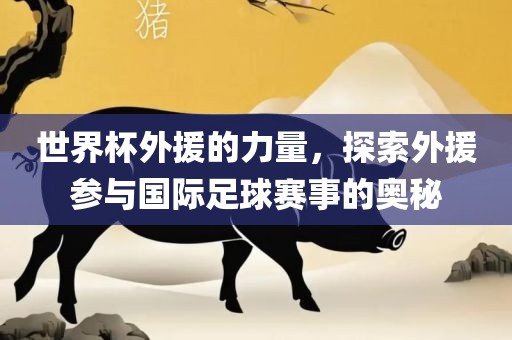 世界杯外援的力量,探索黄冈市中杰窑炉设备有限公司外援参与国际足球赛事的奥秘