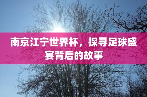 南京江宁世界杯,探寻足球盛宴背后的故事黄冈市中杰窑炉设备有限公司