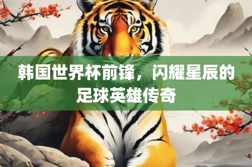 韩国世界杯前锋,闪耀星辰的足球英雄传奇黄冈市中杰窑炉设备有限公司