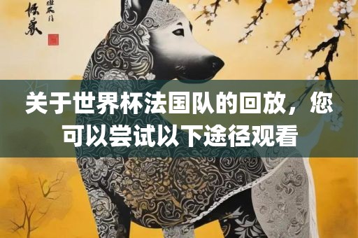 关于世界杯法国队的回放,您可以尝试以下途径观看黄冈市中杰窑炉设备有限公司