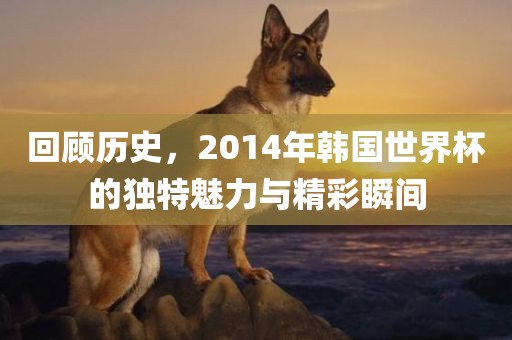 回顾历史,2014年韩国世界杯的独特魅力与精彩瞬间黄冈市中杰窑炉设备有限公司