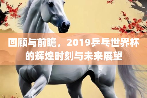 回顾与前瞻,2019乒乓世界杯的辉煌时刻与未来展望