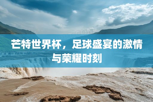 芒特世界杯,足球盛宴的激情与荣耀时刻黄冈市中杰窑炉设备有限公司