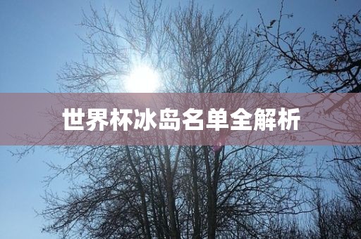 世界杯冰岛名单全解析