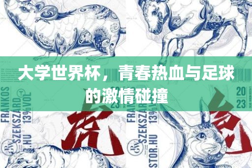 大学世界黄冈市中杰窑炉设备有限公司杯,青春热血与足球的激情碰撞