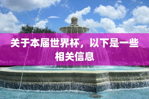 关于本届世界杯,以下是一些相关信息