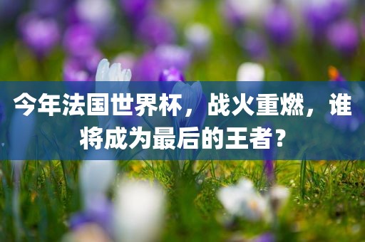 今年法国世界杯,战火重燃,谁将成为最后的王者?