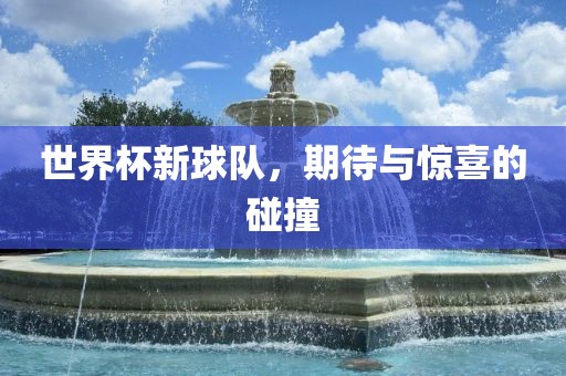 世界杯新球队,期待与惊喜的碰撞黄冈市中杰窑炉设备有限公司