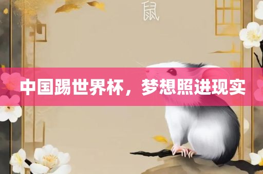 中国踢世界黄冈市中杰窑炉设备有限公司杯,梦想照进现实