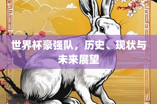 世界杯豪强队,历史、现状与未来展望黄冈市中杰窑炉设备有限公司