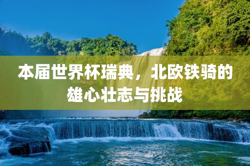 本届世界杯瑞典,北欧铁骑的雄黄冈市中杰窑炉设备有限公司心壮志与挑战