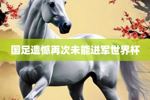 国足遗憾再次未能进军世界黄冈市中杰窑炉设备有限公司杯