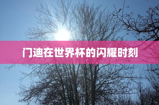 门迪在世界杯的闪耀时刻黄冈市中杰窑炉设备有限公司