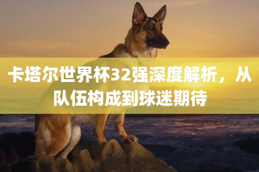 卡塔尔世界杯32强深度解析，从队伍构成到球迷期待