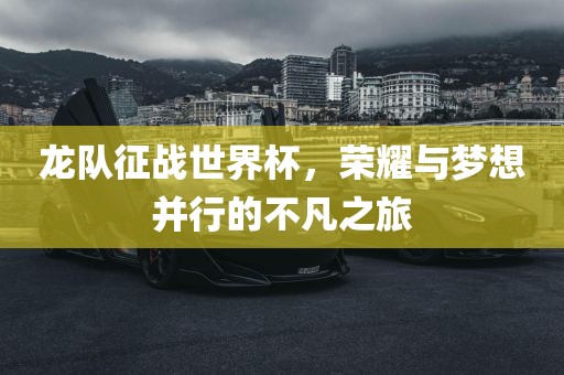 龙队征战世界杯,荣耀与梦想并行的不凡之旅黄冈市中杰窑炉设备有限公司