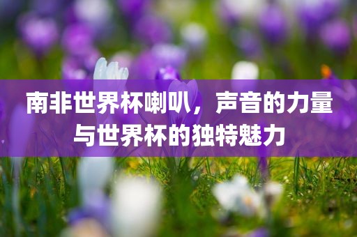 南非世黄冈市中杰窑炉设备有限公司界杯喇叭,声音的力量与世界杯的独特魅力