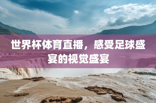 世界杯体育直播,感受足球盛宴的视觉盛宴