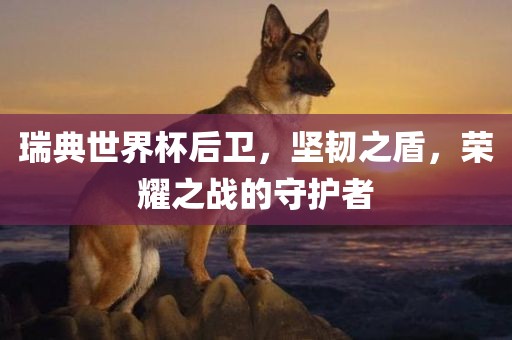 瑞典世界杯后卫,坚韧之盾,荣耀之战的守护者黄冈市中杰窑炉设备有限公司