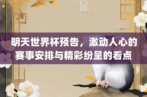 明天世界杯预告,激动人心的赛事安排与精彩纷呈的看点黄冈市中杰窑炉设备有限公司