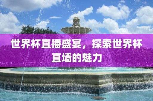 世界杯直播盛宴，探索世界杯直墙的魅力黄冈市中杰窑炉设备有限公司