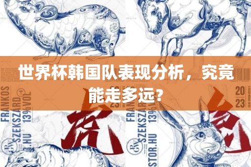 世界杯韩国队表现分析,究竟能走多远?黄冈市中杰窑炉设备有限公司