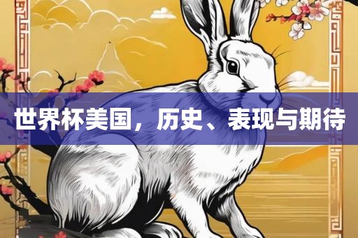 世界杯美国,历史、表现与期待黄冈市中杰窑炉设备有限公司