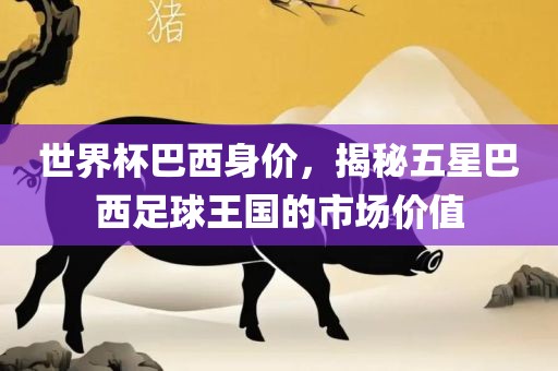 世界杯巴西身价,揭秘五星黄冈市中杰窑炉设备有限公司巴西足球王国的市场价值