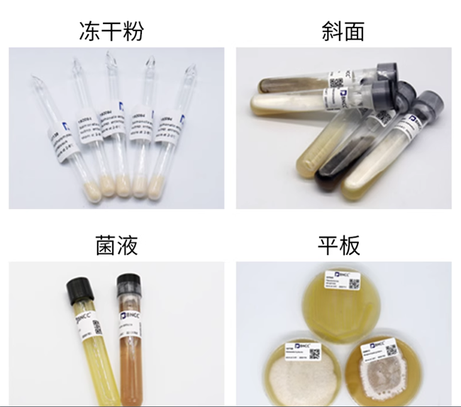 標準物質